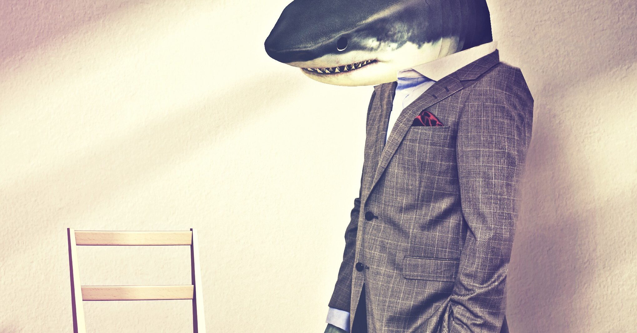 The True Confessions of Shark - The Ringer