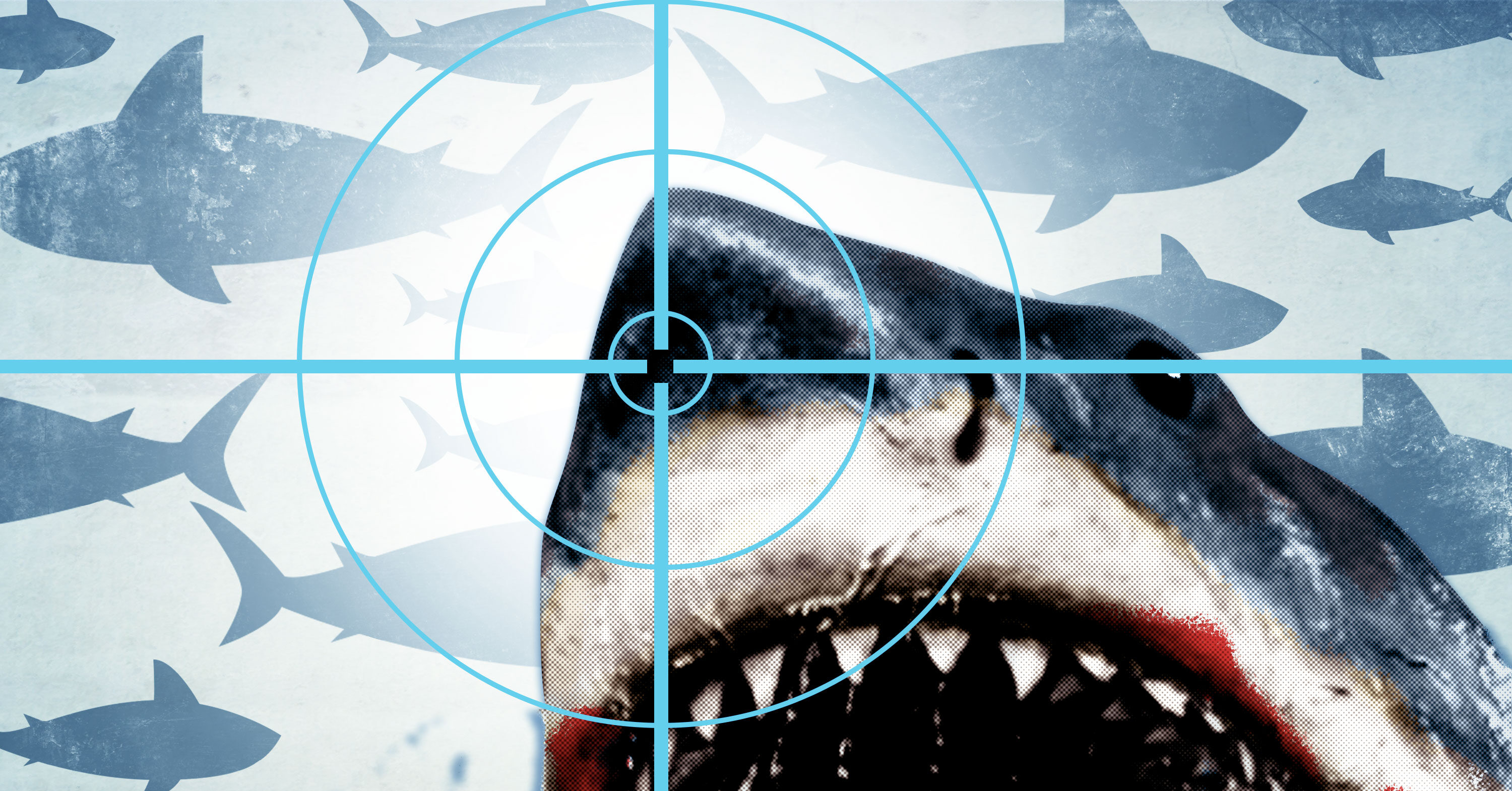 The Shark Movie Matrix - The Ringer, image size:3000x1570