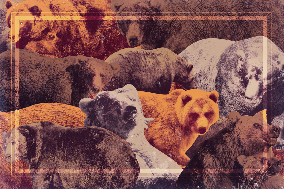 Survival of the Fattest - The Ringer