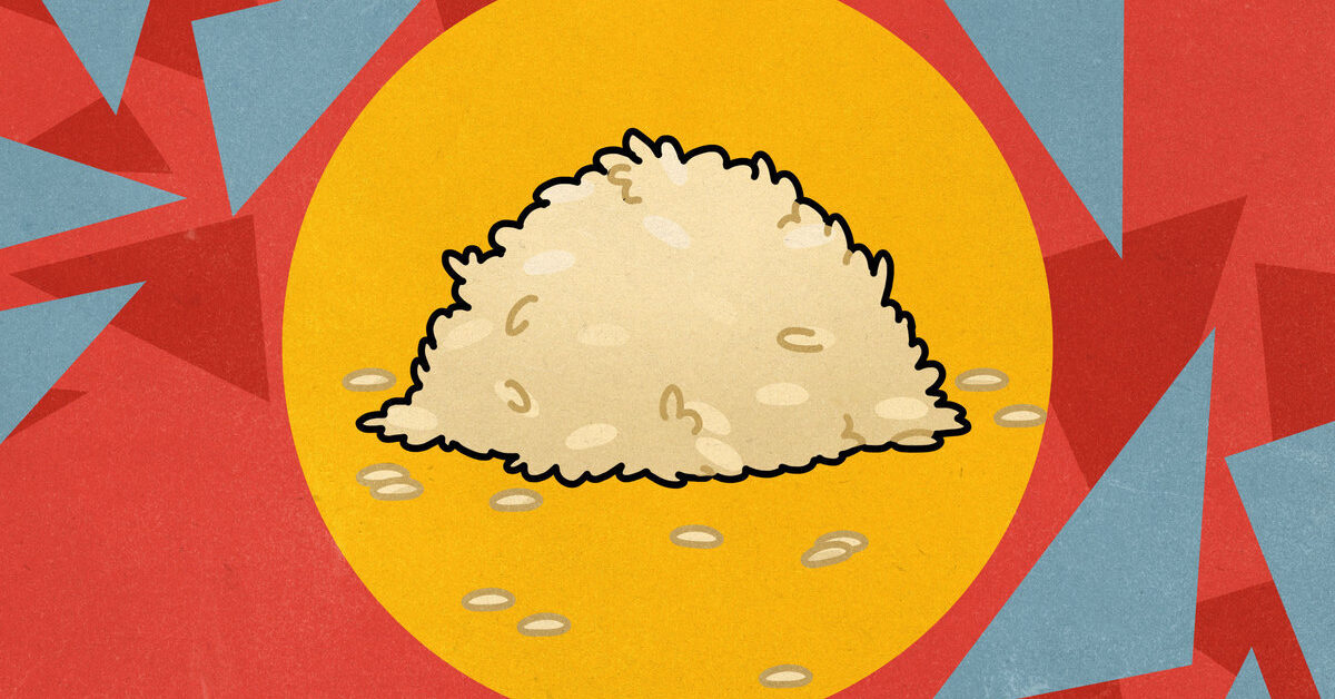 Regra Rice Respectfully Discussing the Best Rice Recipe - The Ringer