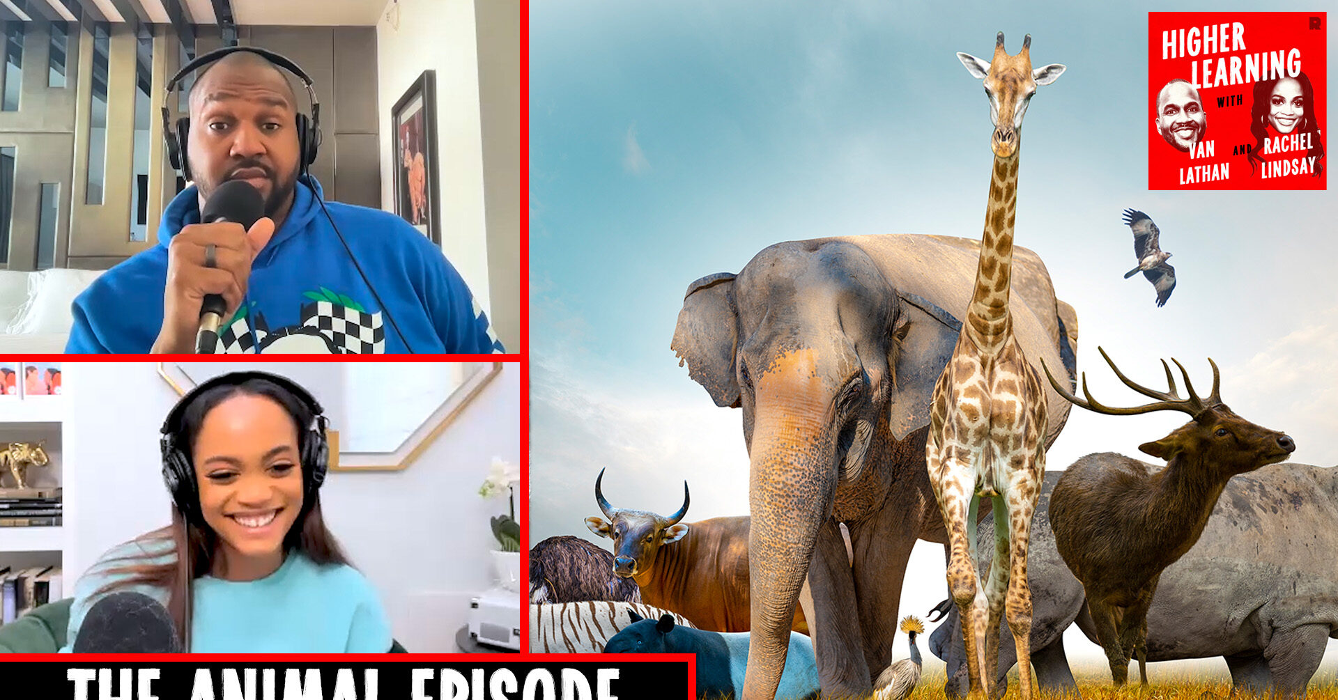 Picture of A Higher Learning Rewind: Animal Welfare and the Return of Animal Games ...