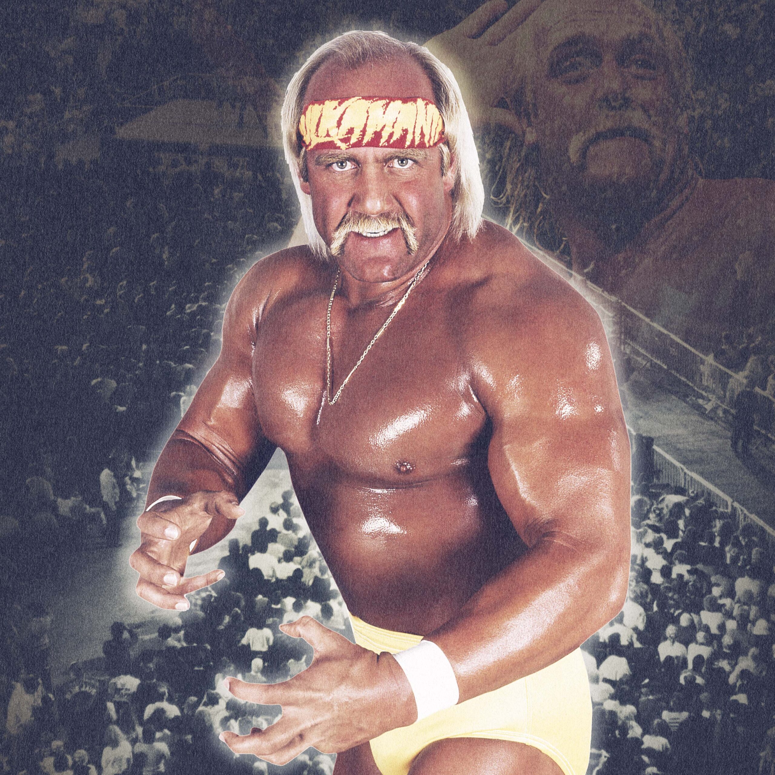 hulk hogan macho man king of the ring